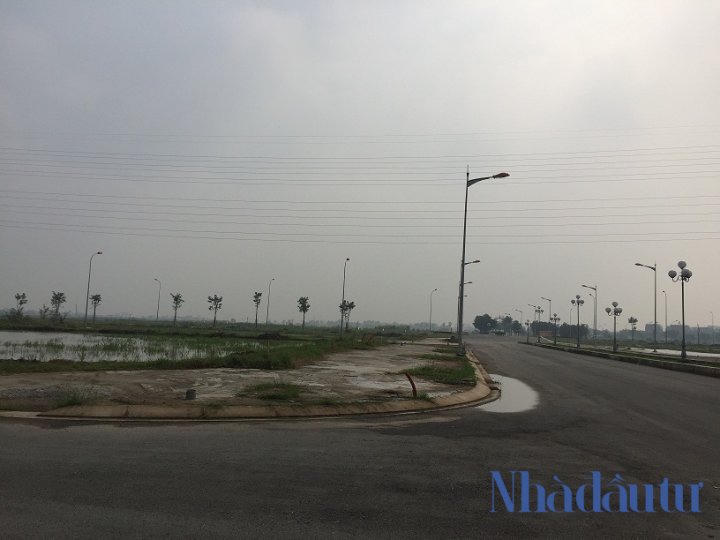 Đất nền TP. Hồ Chí Minh đang “sốt” trở lại?