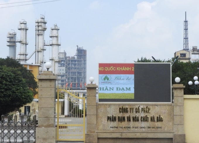 Đạm Hà Bắc báo lỗ suýt soát 100 tỷ đồng do sét đánh nhiều lần. &nbsp;