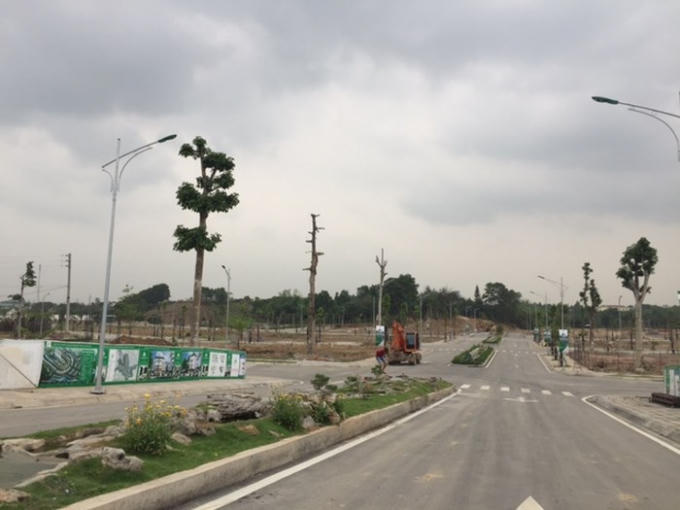 Cây cối được trồng khá thưa thớt