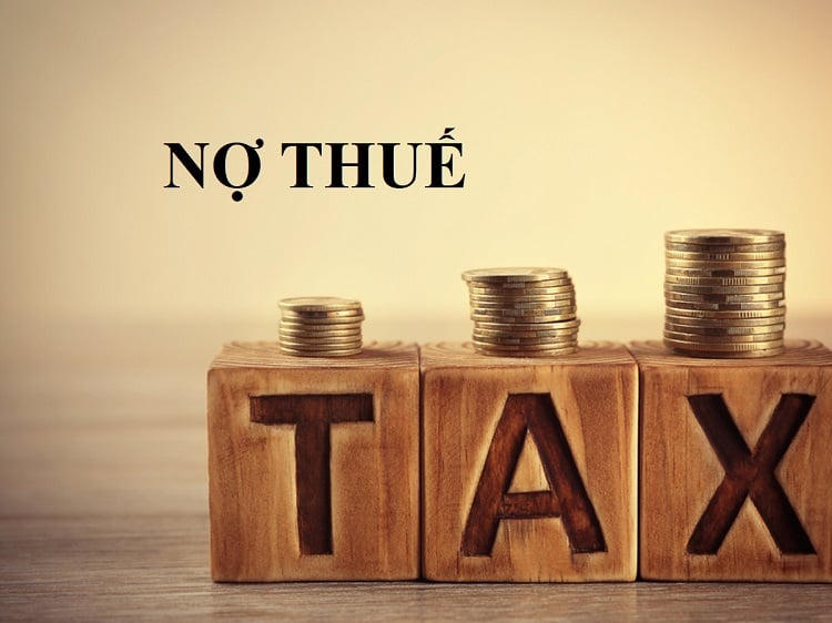 Tập đoàn VHC Lucky Singapore- Hoà Bình nợ thuế 21,7 tỷ đồng