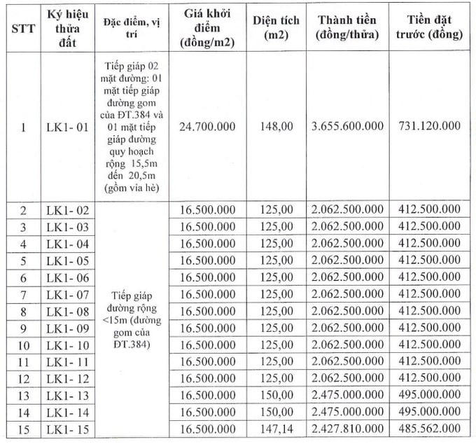 Tỉnh sở hữu 2 đại đô thị của Vinhomes đấu giá 101 lô đất trong tháng 9, giá khởi điểm từ 14,4 triệu đồng/m2