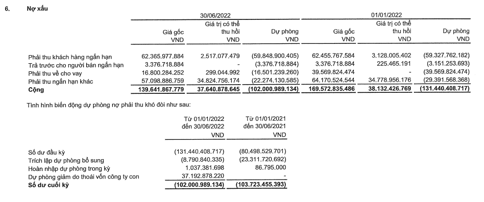 BCTC hợp nhất quý 2/2022 tại CII