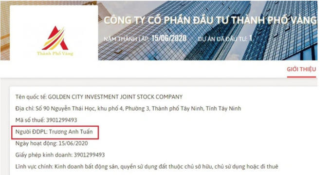 Thời điểm mới thành lập, ông Trương Anh Tuấn là người đại diện pháp luật tại Công ty Thành phố Vàng