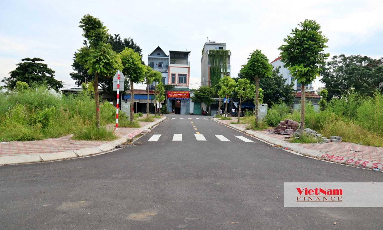 Cận cảnh khu đất ngoại thành Hà Nội được đấu giá 100 triệu/m2