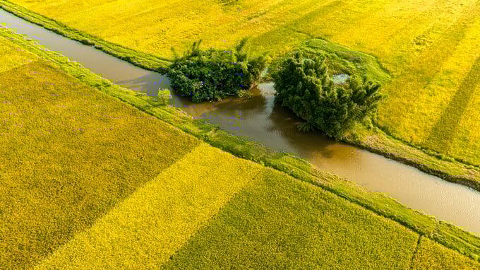 Mức giá đền bù đất nông nghiệp khi Nhà nước thu hồi đất có thể sẽ tăng sau khi Luật Đất đai 2024 chính thức có hiệu lực. Ảnh: Internet