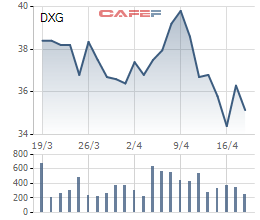 Cổ phiếu DXG không chịu tăng giá bất chấp Đất Xanh đạt lợi nhuận khủng gần 400 tỷ trong Quý I