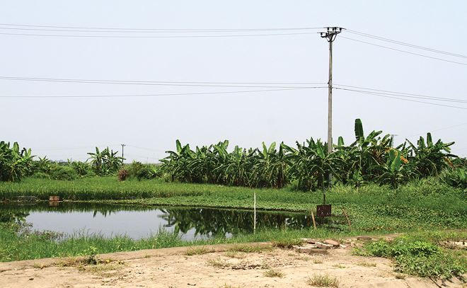 Nhức nhối quy hoạch treo, dự án chậm tiến độ