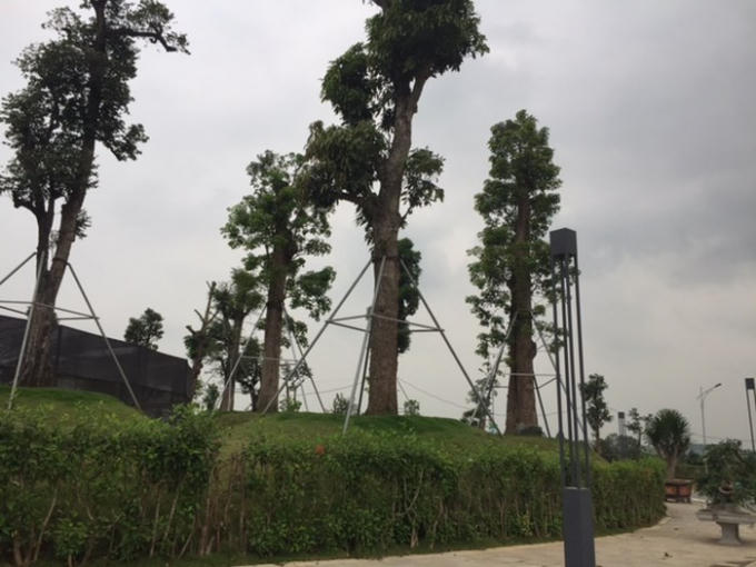 Hà Nội: Cận cảnh dự án Phù Cát City - Thạch Thất