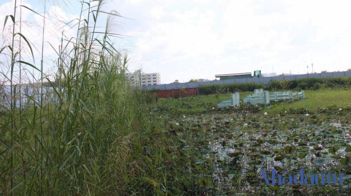 Hoang vu những dự án 'bán nhà trên giấy' giữa Sài Gòn