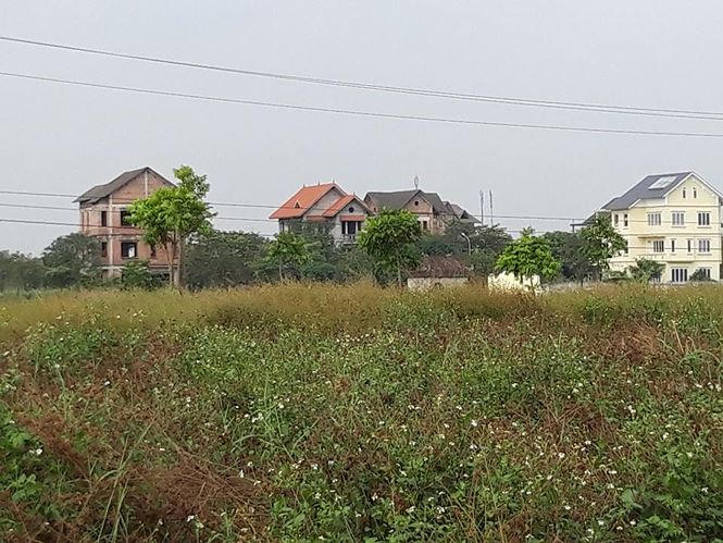 Ai chống lưng cho dự án “ăn bớt” NOXH xây biệt thự, nhà liền kề?