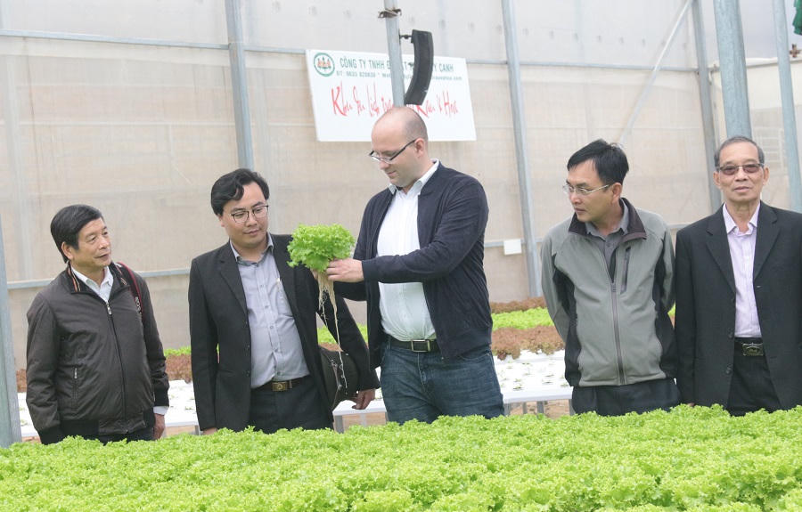 Du khách trong và ngoài nước hết sức thích thú với mô hình du lịch canh nông ở Đà Lạt, Lâm Đồng.