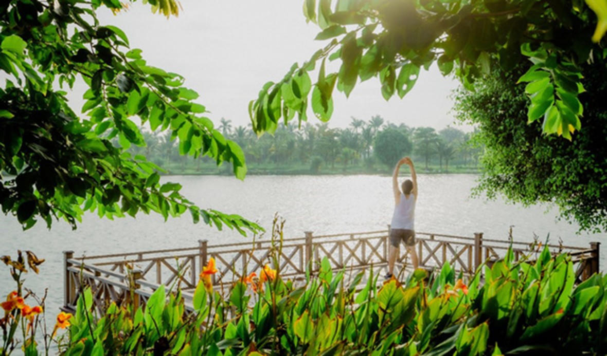 Những mảng rừng xanh vun đắp tâm hồn tại KĐT Ecopark