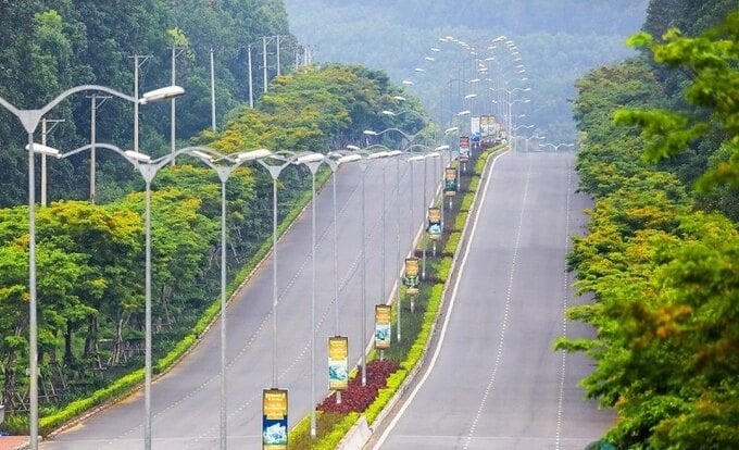 Tuyến đường ngập màu xanh và không có nhà hai bên đường. Ảnh: Internet