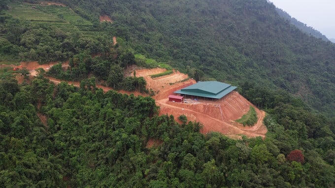 Nguồn: báo Lao Động &nbsp;