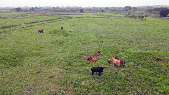 Hưng Yên: Toàn cảnh khu đất xây 'siêu dự án' 10.000 tỷ đồng của Công ty Xuân Cầu