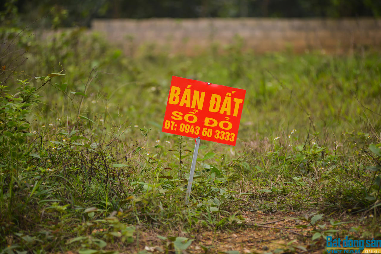 Ba Vì đã từng là “tử huyệt” chôn vùi tiền của nhiều nhà đầu tư. Ảnh: Trịnh Tây &nbsp;