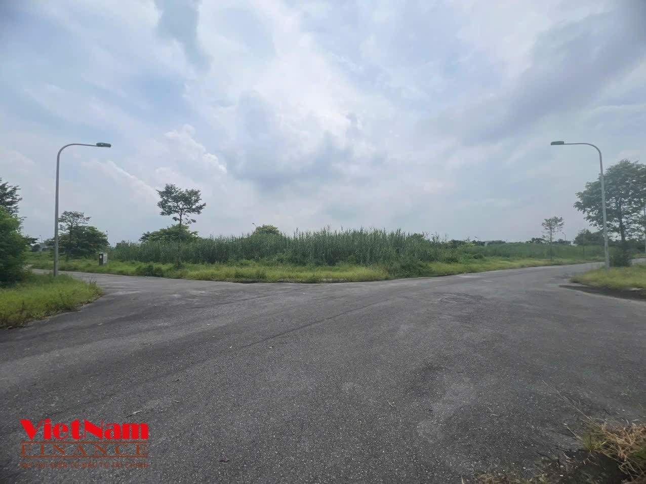 KĐT Mỹ Trung đã hoàn tất hệ thống đường nội bộ nhưng xung quanh cỏ mọc um tùm. &nbsp;