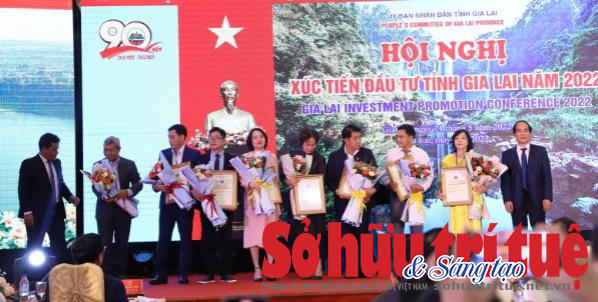 Các doanh nghiệp đầu tư tại tỉnh Gia Lai.&nbsp; &nbsp;