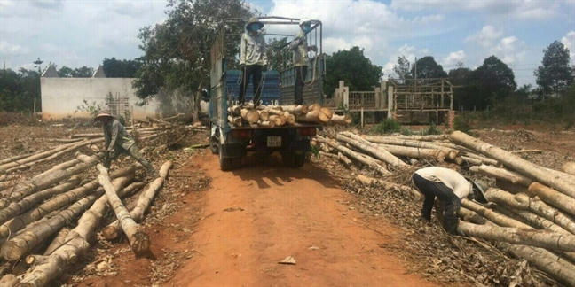 Công ty địa ốc Alibaba rao bán dự án 'ma' ở huyện Xuân Lộc Cong ty dia oc Alibaba rao ban du an 'ma' o huyen Xuan Loc