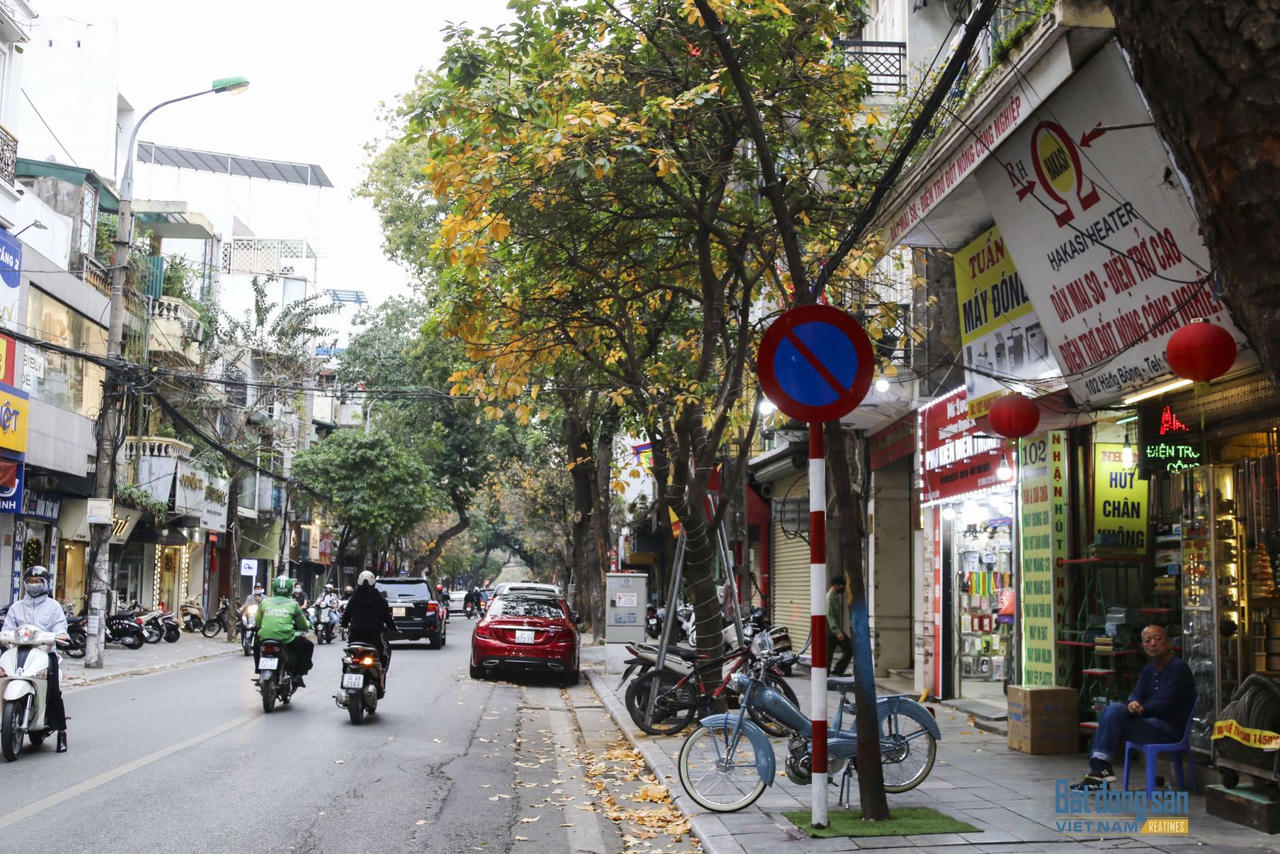 Hà Nội đẹp mộng mơ mùa lộc vừng thay lá