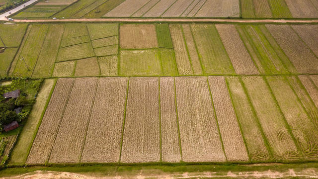 Toàn cảnh khu đất 100 ha dự kiến làm trường đua ngựa tại Hà Nội