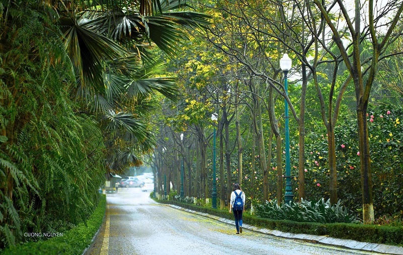 Ecopark Marathon 2021 - Ngắm cung đường chạy giữa thiên nhiên “siêu chất” trước giờ G 