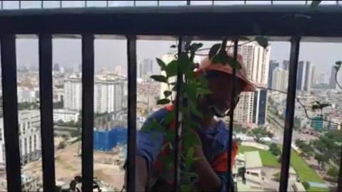 Dan to bi go bang ron treo ngoai ban cong MON City