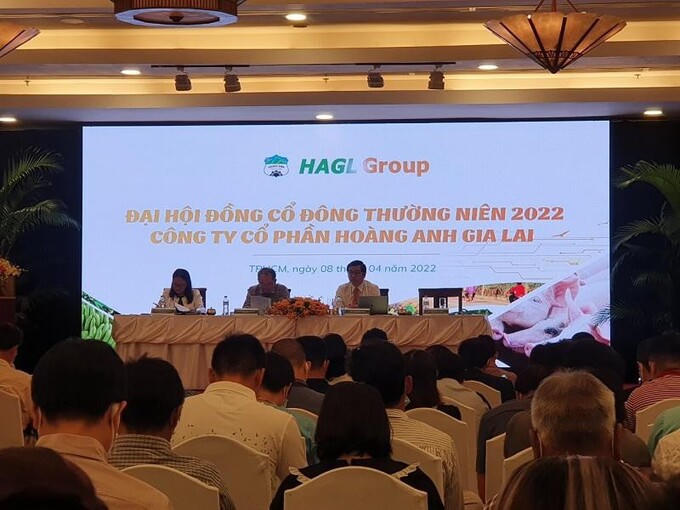 Con heo ăn chuối giúp Hoàng Anh Gia Lai trở lại đường đua