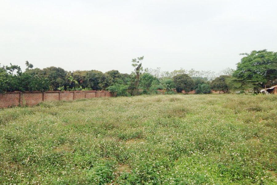 Sốt đất, tăng giá gấp 5 lần: Bùng nổ ở Hòa Lạc