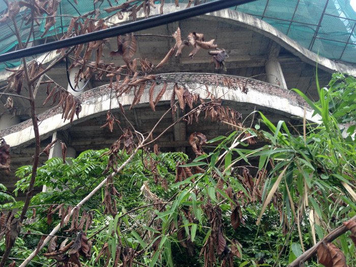 Tòa nhà bỏ hoang hơn thập kỷ trên đất vàng Hồ Tây