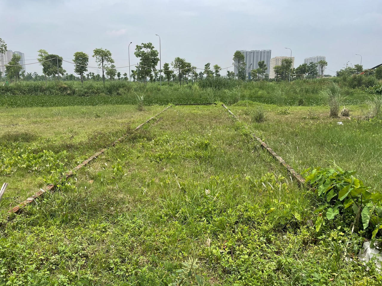 Nhà đầu tư đang có xu hướng “quay lưng” với đất nền sau đợt sốt đất ngắn hạn. Ảnh: Lê Tâm. &nbsp;