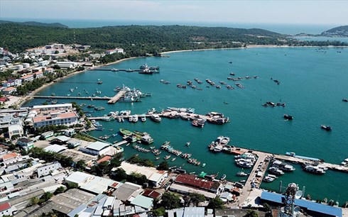 Bất động sản đặc khu: Bong bóng đã xì hơi 30%, giá sẽ tiếp tục giảm?