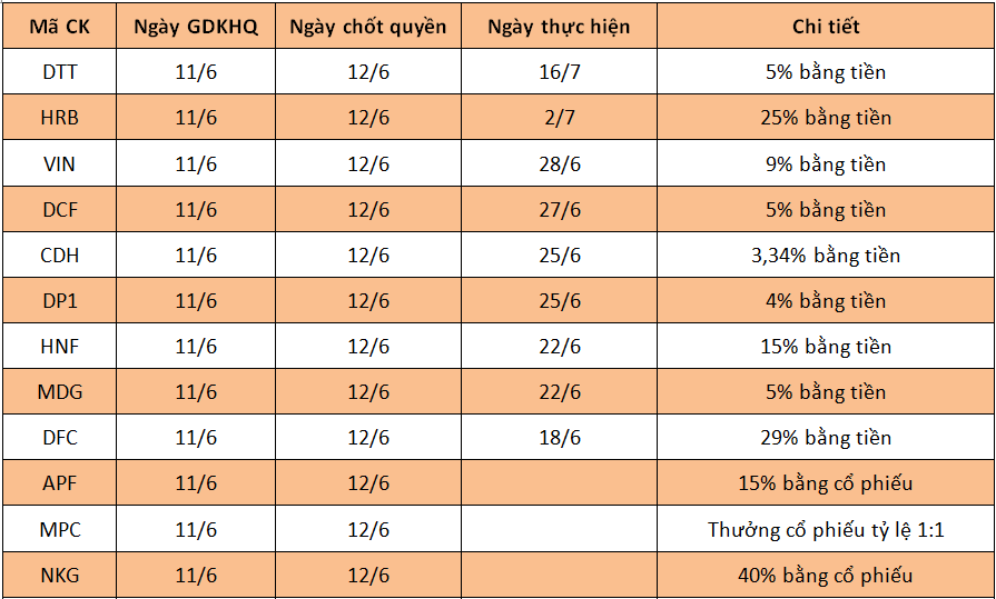 Lịch chốt quyền cổ tức tuần 11 - 17/6 