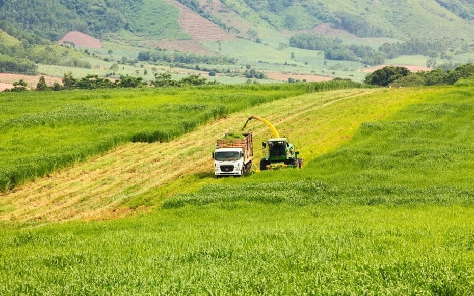 Quảng Ninh: Nhà đầu tư muốn rót 5 tỷ USD làm dự án năng lượng xanh tại KCN Hải Hà
