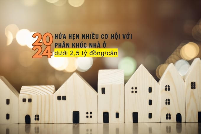 Năm 2024 hứa hẹn nhiều cơ hội hơn với phân khúc nhà ở dưới 2,5 tỷ đồng/căn