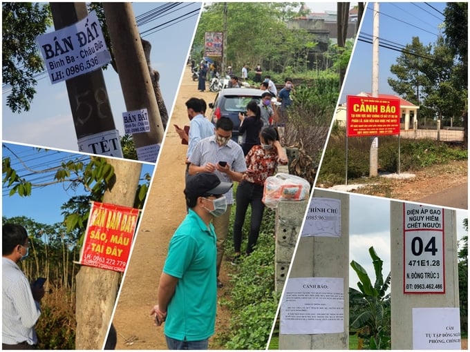 Dự báo thị trường thời điểm phục hồi của thị trường bất động sản