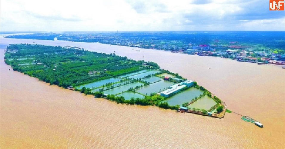 Khu vực dự kiến xây dựng dự án&nbsp;Resort TMS Cồn Sơn. &nbsp; &nbsp;