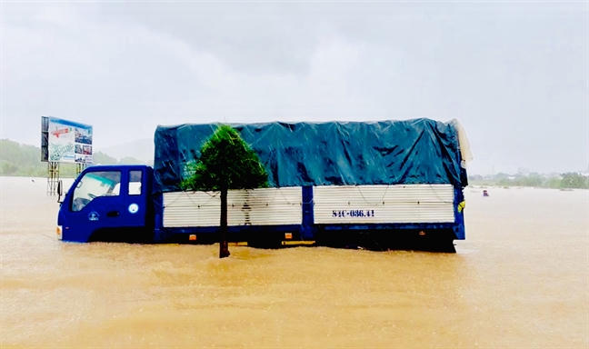 'Dao ngoc Phu Quoc chua bao gio ngap nhu bay gio'