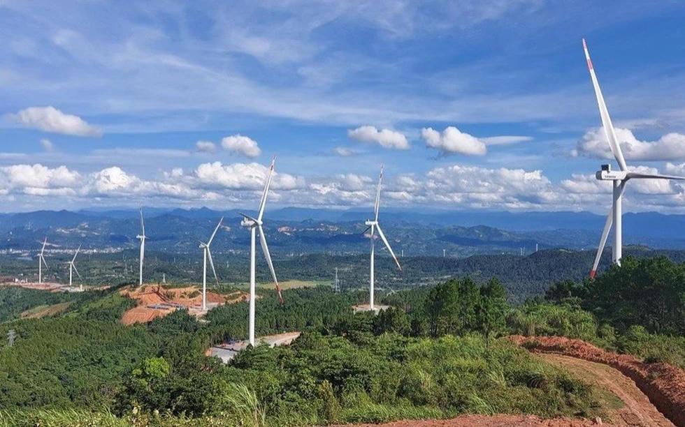 Win Power Holding: Ẩn số sau dự án điện gió 1.700 tỷ tại Quảng Trị