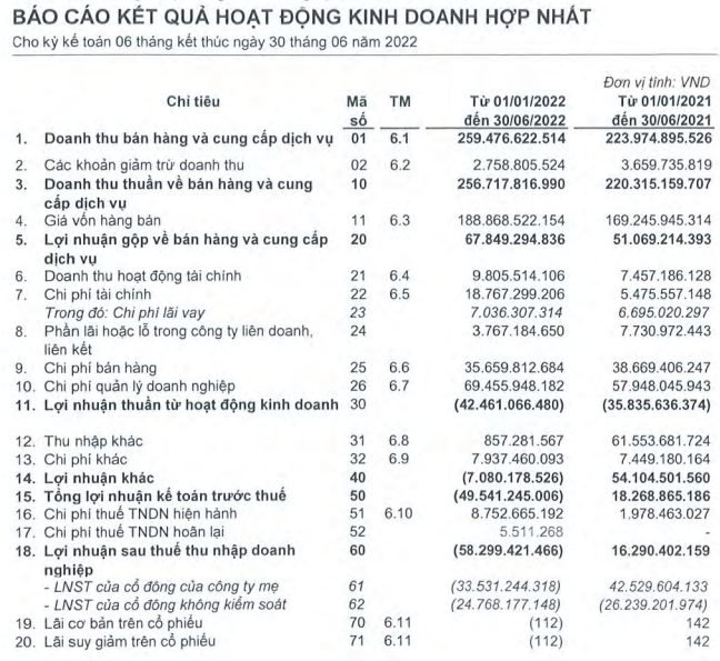 Báo cáo kết quả kinh doanh bán niên sau xét soát của Ocean Group