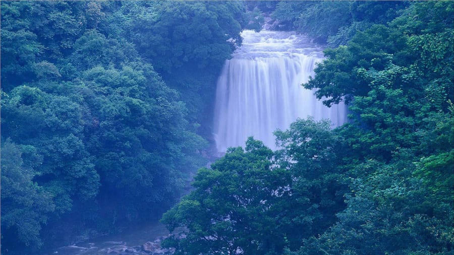 đảo Jeju thơ mộng -tinnhanhnhadat.vn