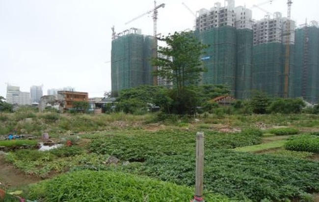 TP. Hồ Chí Minh: Duyệt hệ số điều chỉnh giá đất 1 loạt các dự án trọng điểm