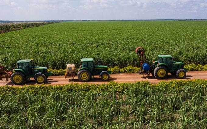 Cánh đồng mía của TTC AgriS.
