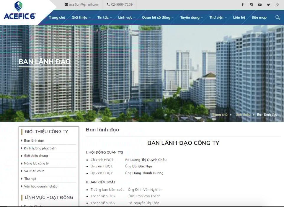 Ban lãnh đạo của Công ty ACE 6 Việt Nam. Ảnh chụp màn hình &nbsp;