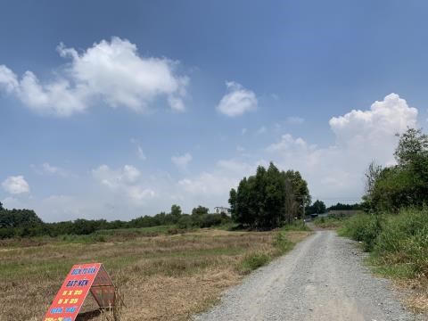 Khu đất ở Đồng Nai m&agrave; &ocirc;ng Đức được nh&acirc;n vi&ecirc;n m&ocirc;i giới dẫn đi xem sau khi quảng c&aacute;o ở khu vực Q. Thủ Đức, TP. HCM. &nbsp;