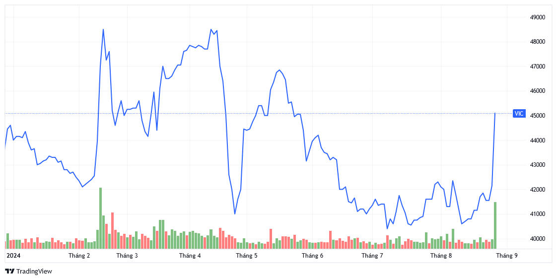 Diễn biến giá cổ phiếu Vingroup từ đầu năm đến nay. Nguồn đồ thị: TradingView