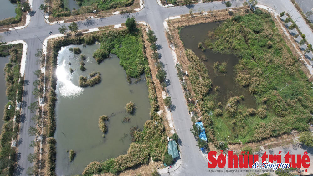 Hiện 2 doanh nghiệp Dream Republic và&nbsp;Sheen Mega xin "trả góp" tiền đấu giá đất. &nbsp;