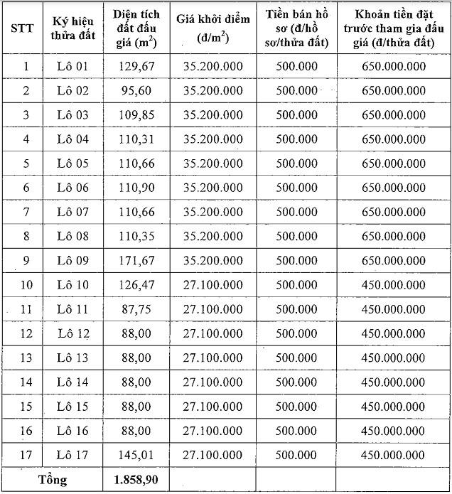 17 thửa đất tại huyện Mê Linh vừa được đấu giá thành công. &nbsp;