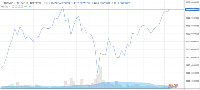 Giáo sư Kinh tế Đại Học Harvard: Sự sụp đổ của Bitcoin là không thể tránh khỏi 