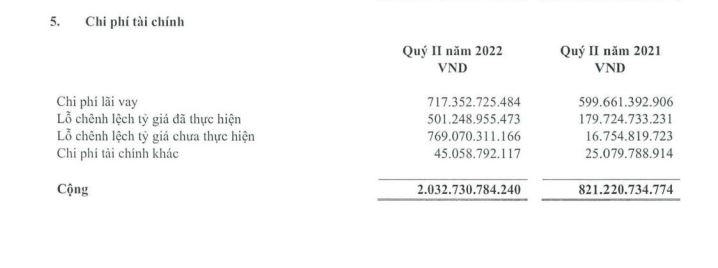 Nguồn: BCTC hợp nhất quý 2/2022.